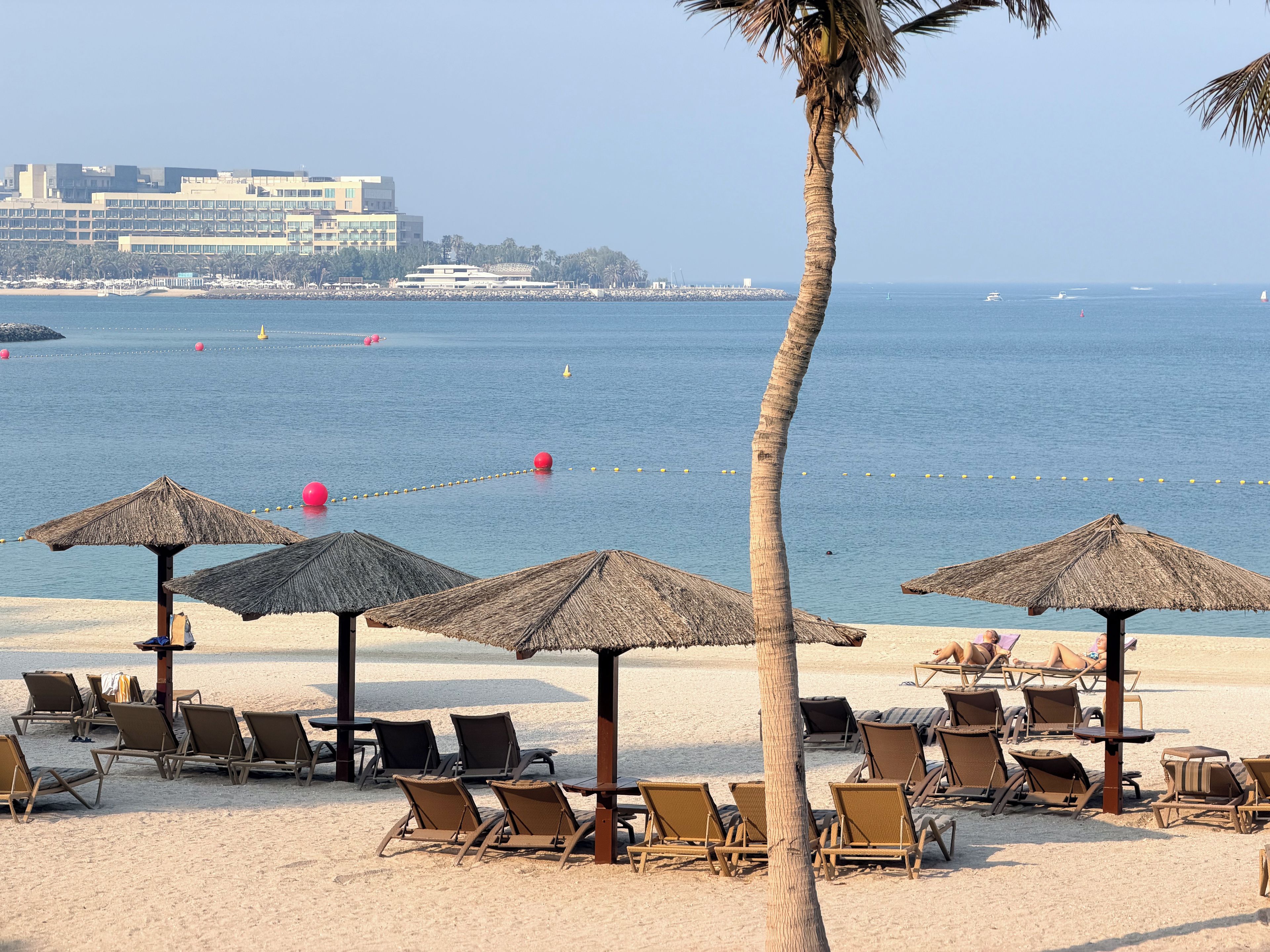 A beach with rows of sun loungers and thatched umbrellas, a palm tree, and a view of the sea and distant buildings.