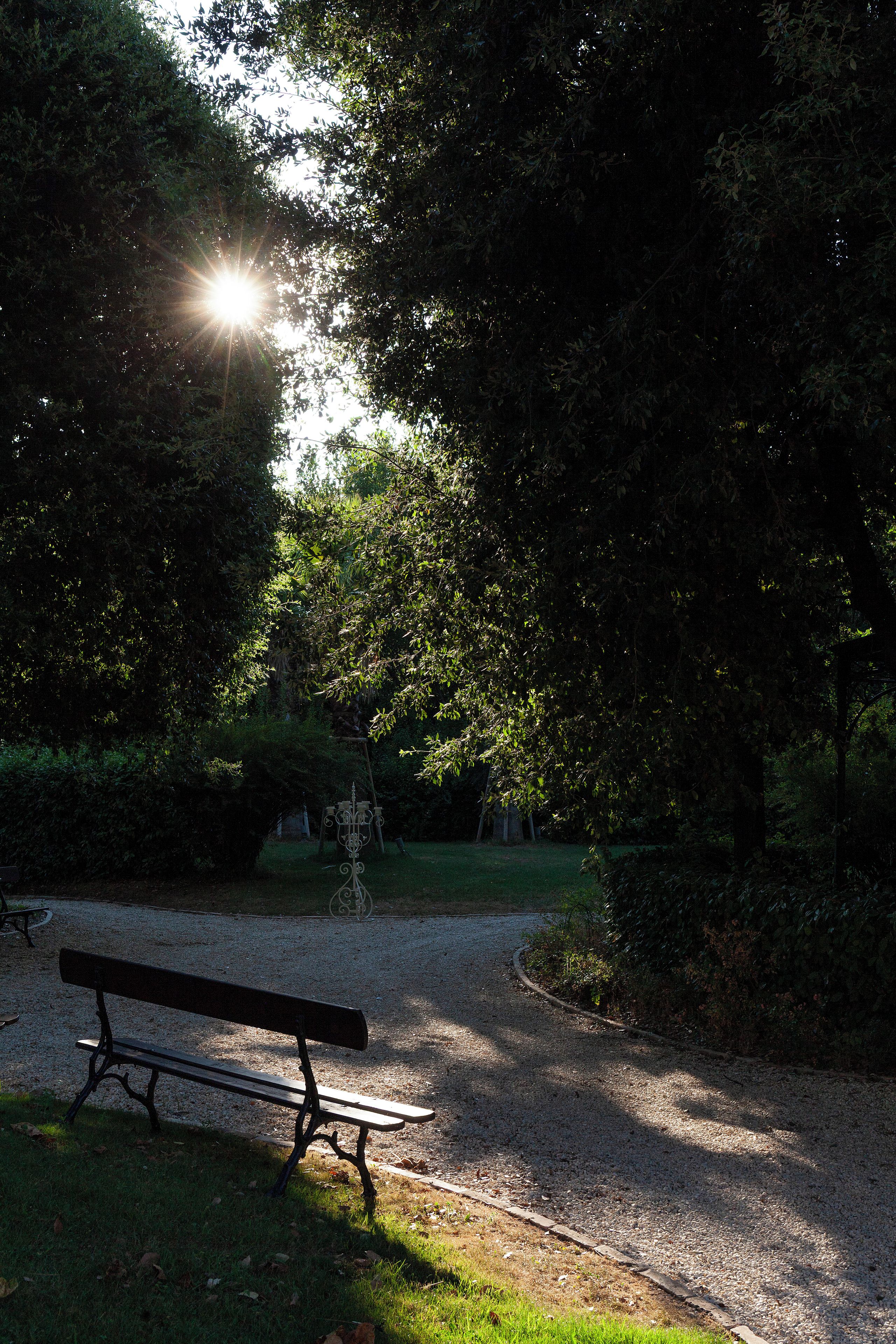 A park bench in a shaded area with a gravel path and trees.
