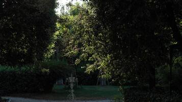 A park bench in a shaded area with a gravel path and trees.