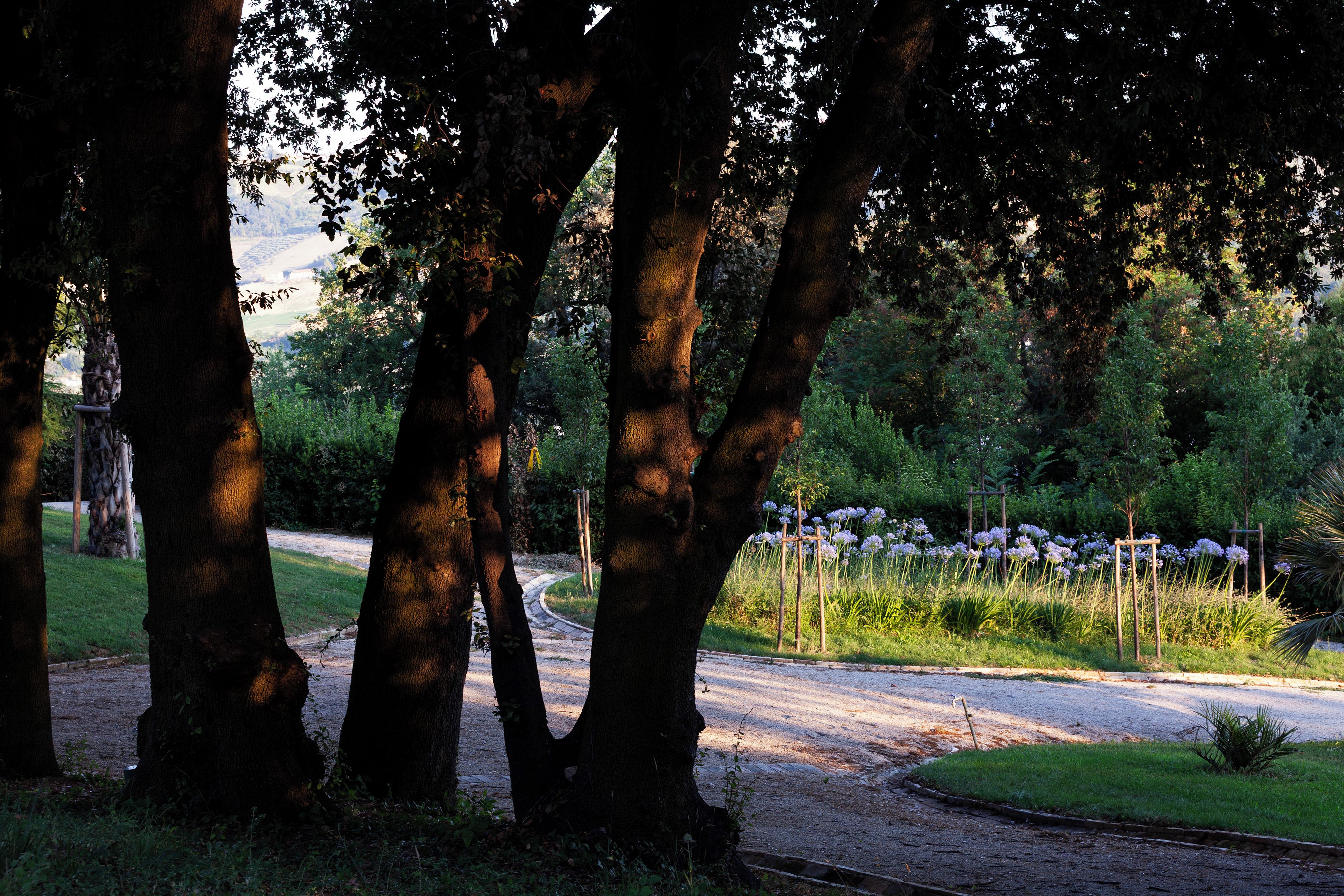 A pathway surrounded by trees and a garden with flowers.