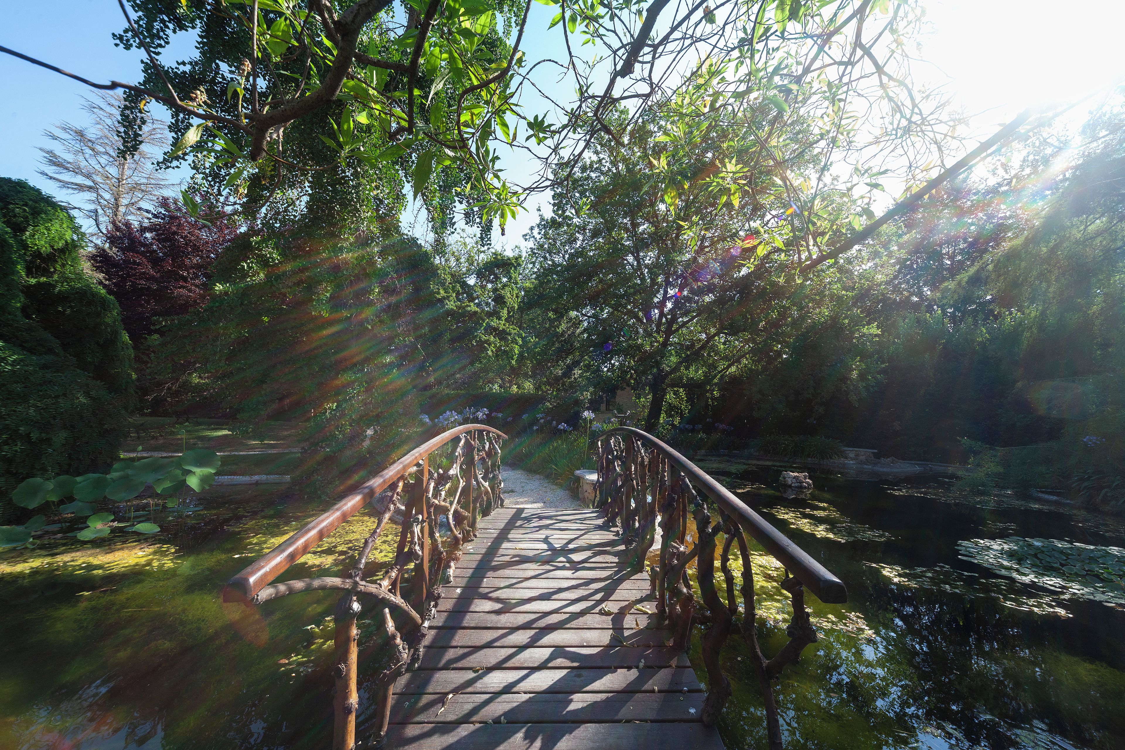 Un puente de madera sobre un cuerpo de agua rodeado de vegetación.