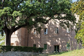 A brick building with a large tree in front, a stone wall, and a grassy area.