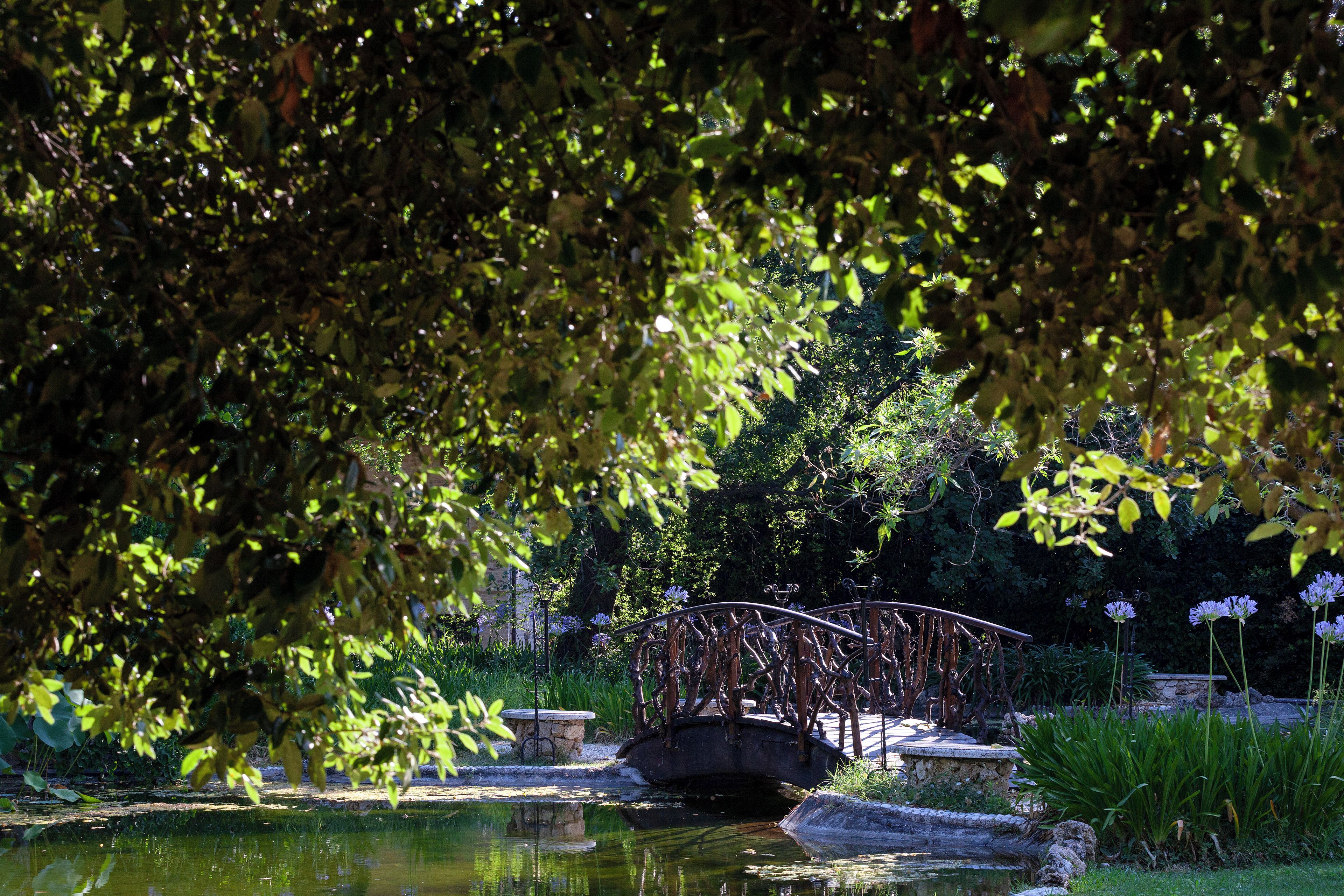 Un jardin paisible avec un pont, un étang et une végétation luxuriante.