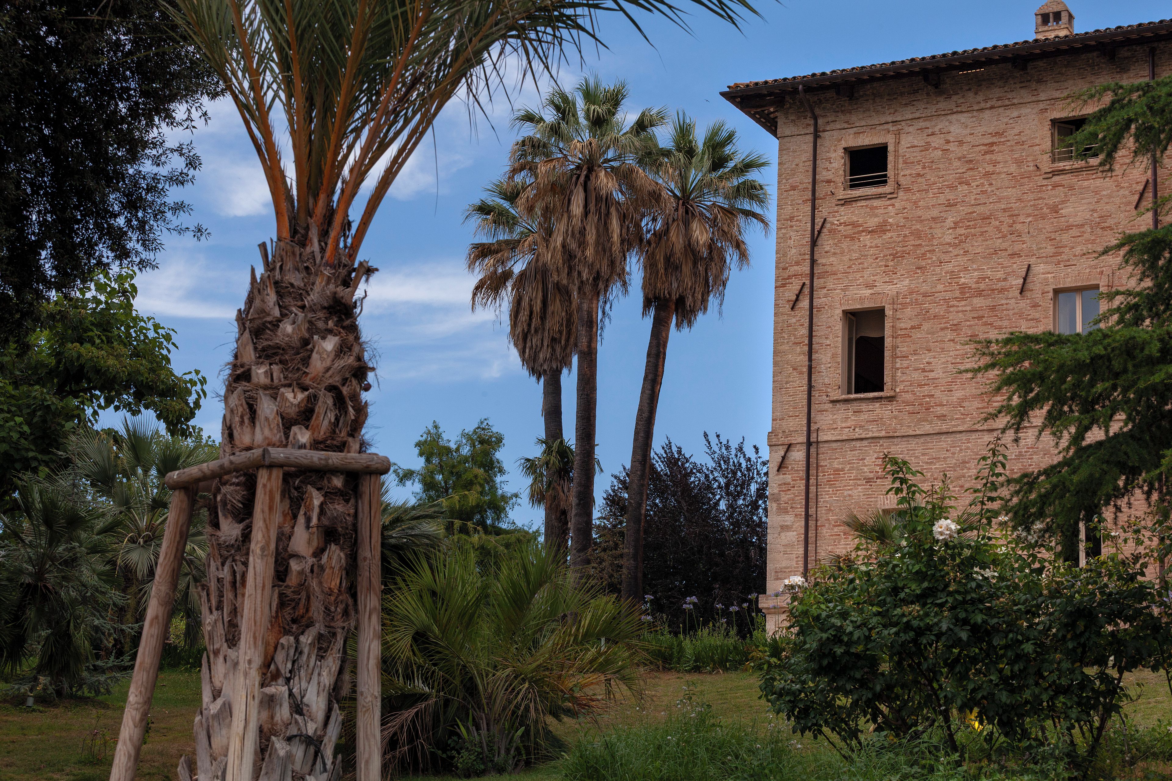 A rustic brick building with a garden, palm trees, and a wooden structure.