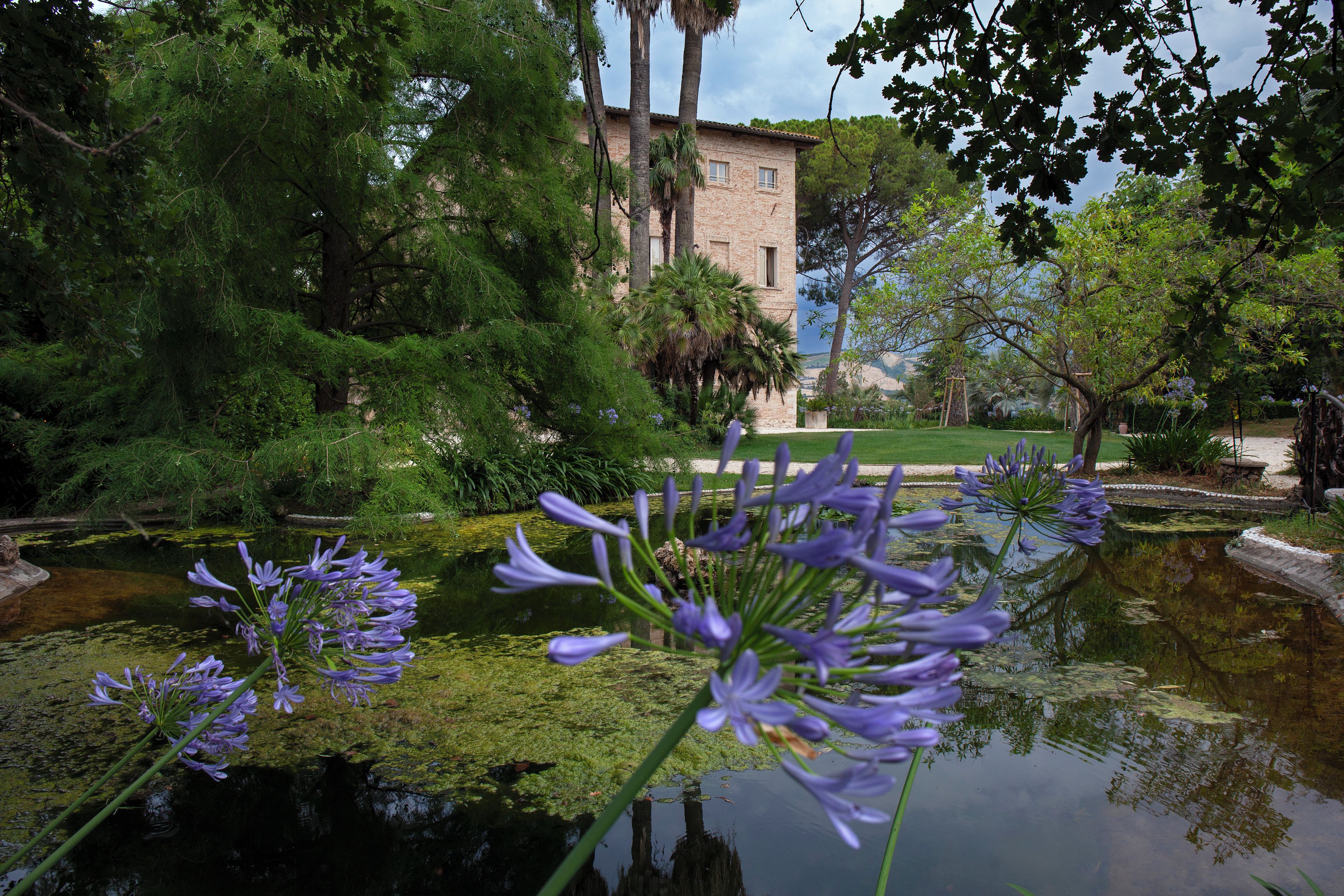 A garden with a pond, trees, and a building in the background.