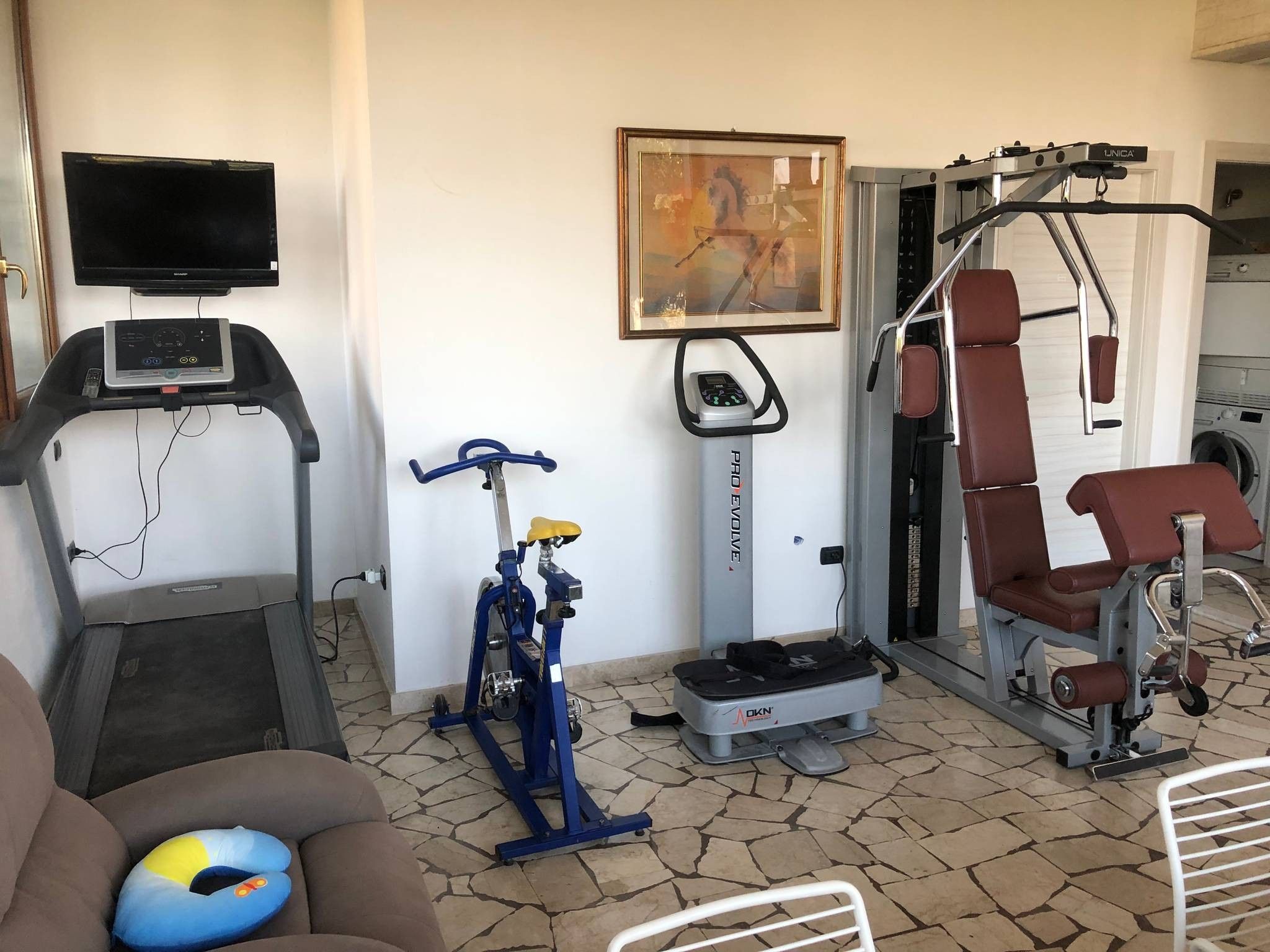 Une salle de sport à domicile équipée d’un tapis de course, d’un vélo d’appartement, d’un banc de musculation et d’autres appareils d’exercice.