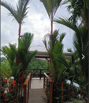Property grounds - T -SYSSY LODGE  FOR 2 ADULTS (WITHOUT CHILDREN) TO DISCOVER MARTINIQUE (Fort-de-France)