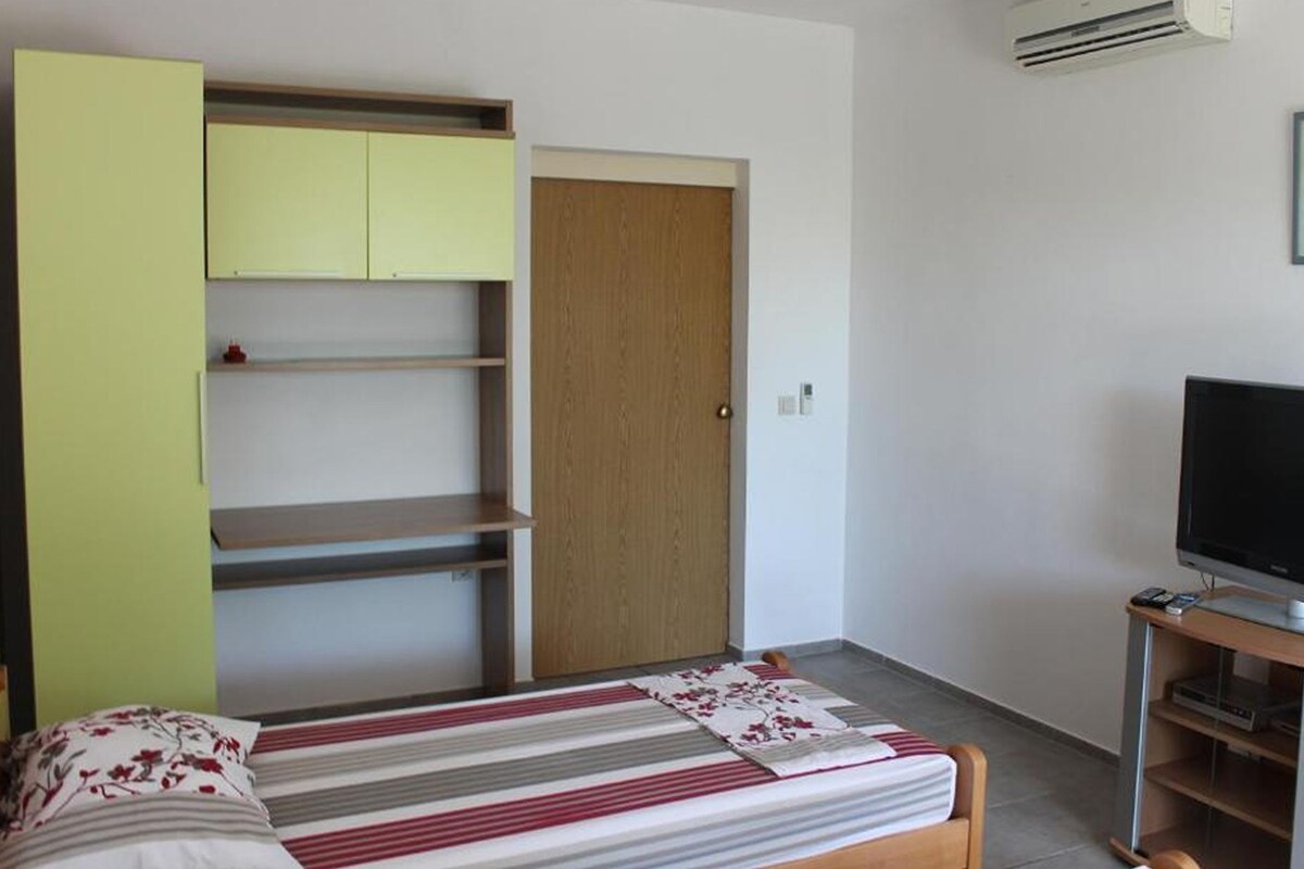 A bedroom with a bed, a television, a wardrobe, and a door.