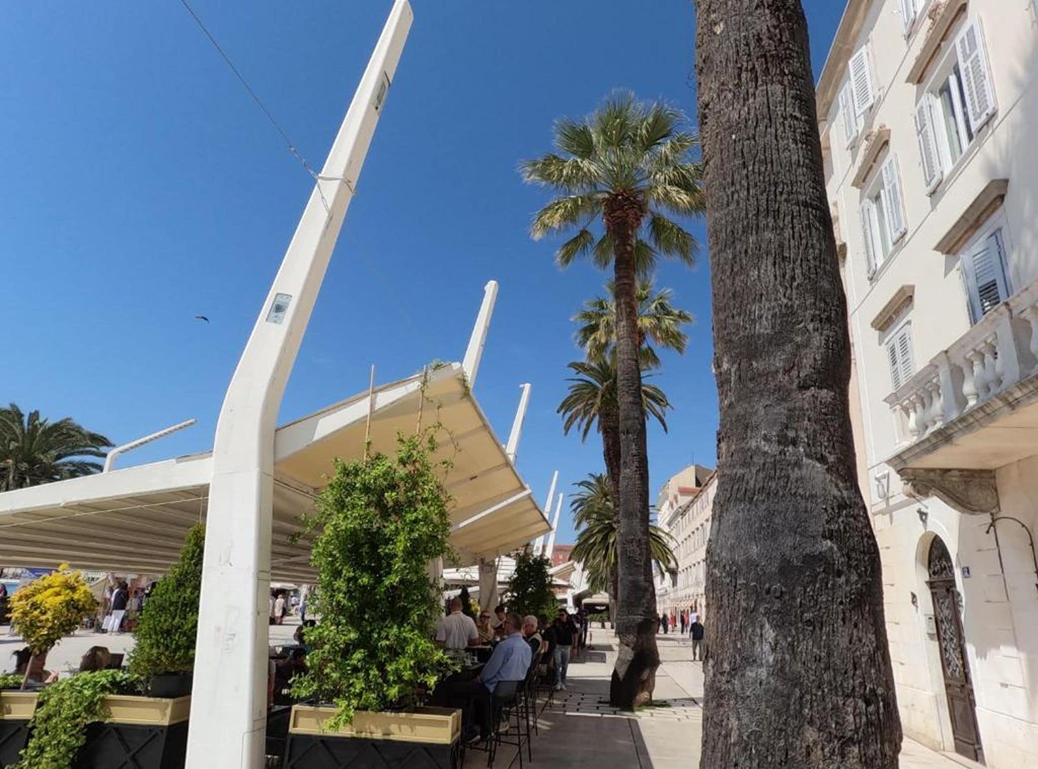 Una calle con terrazas al aire libre, palmeras y edificios con balcones.