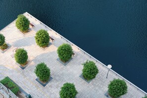 Eine Uferpromenade mit Bänken und gleichmäßig angeordneten Bäumen.