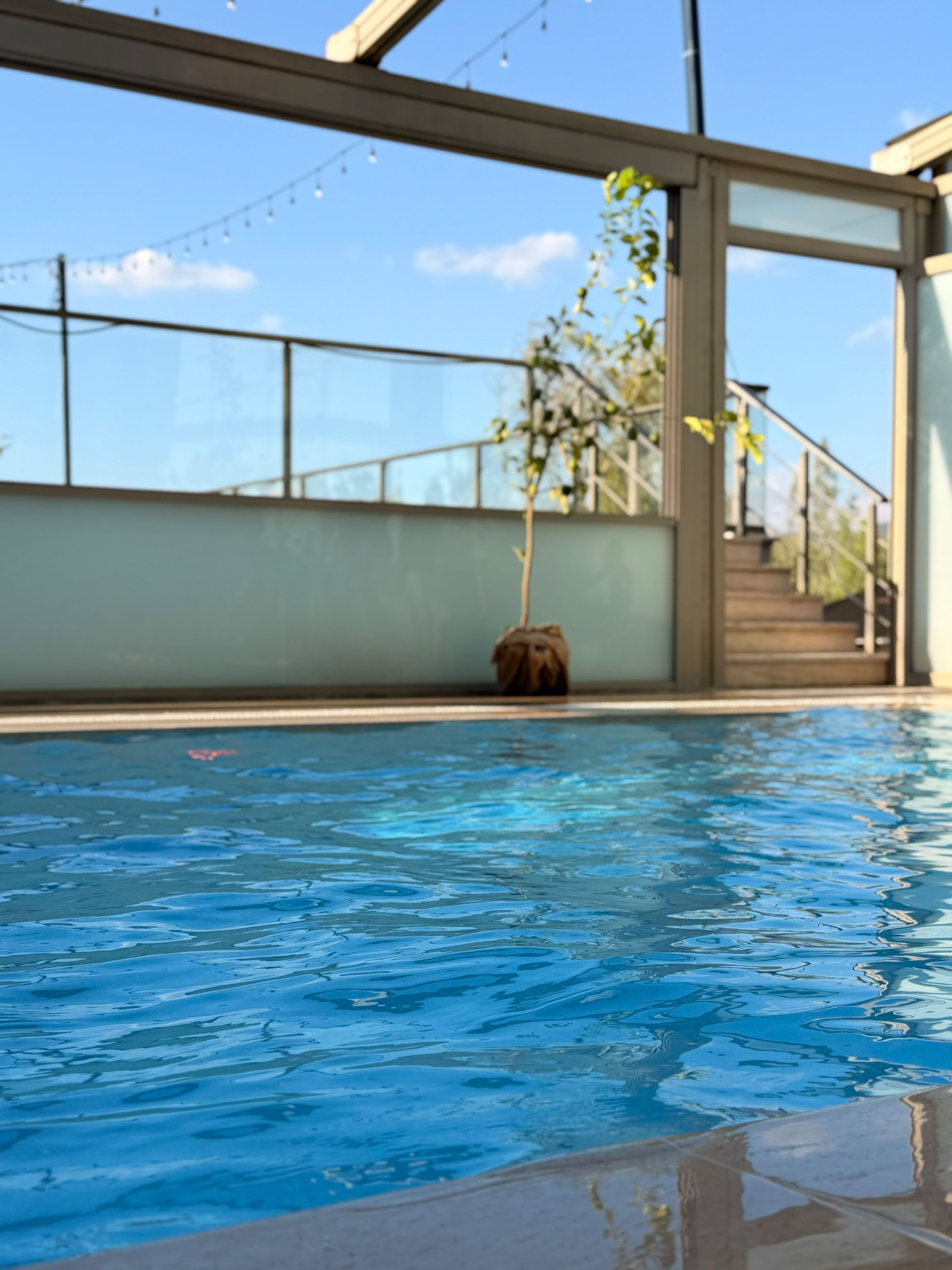 A swimming pool with clear blue water, surrounded by a glass enclosure with a metal railing.