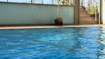 A swimming pool with clear blue water, surrounded by a glass enclosure with a metal railing.
