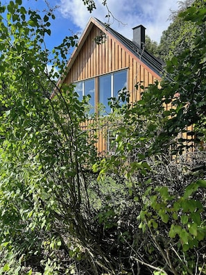Una cabana de fusta amb grans finestres, envoltada de vegetació densa.