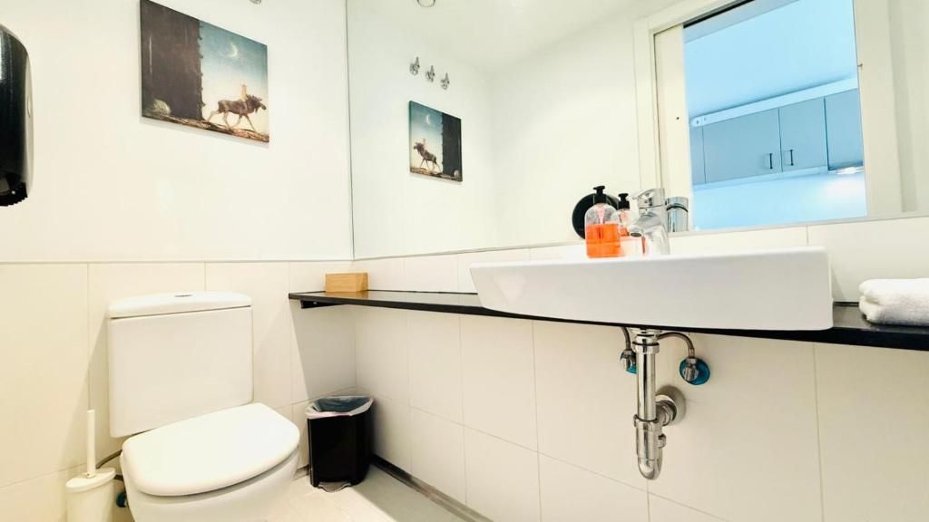 Een badkamer met toilet, wastafel en spiegel.