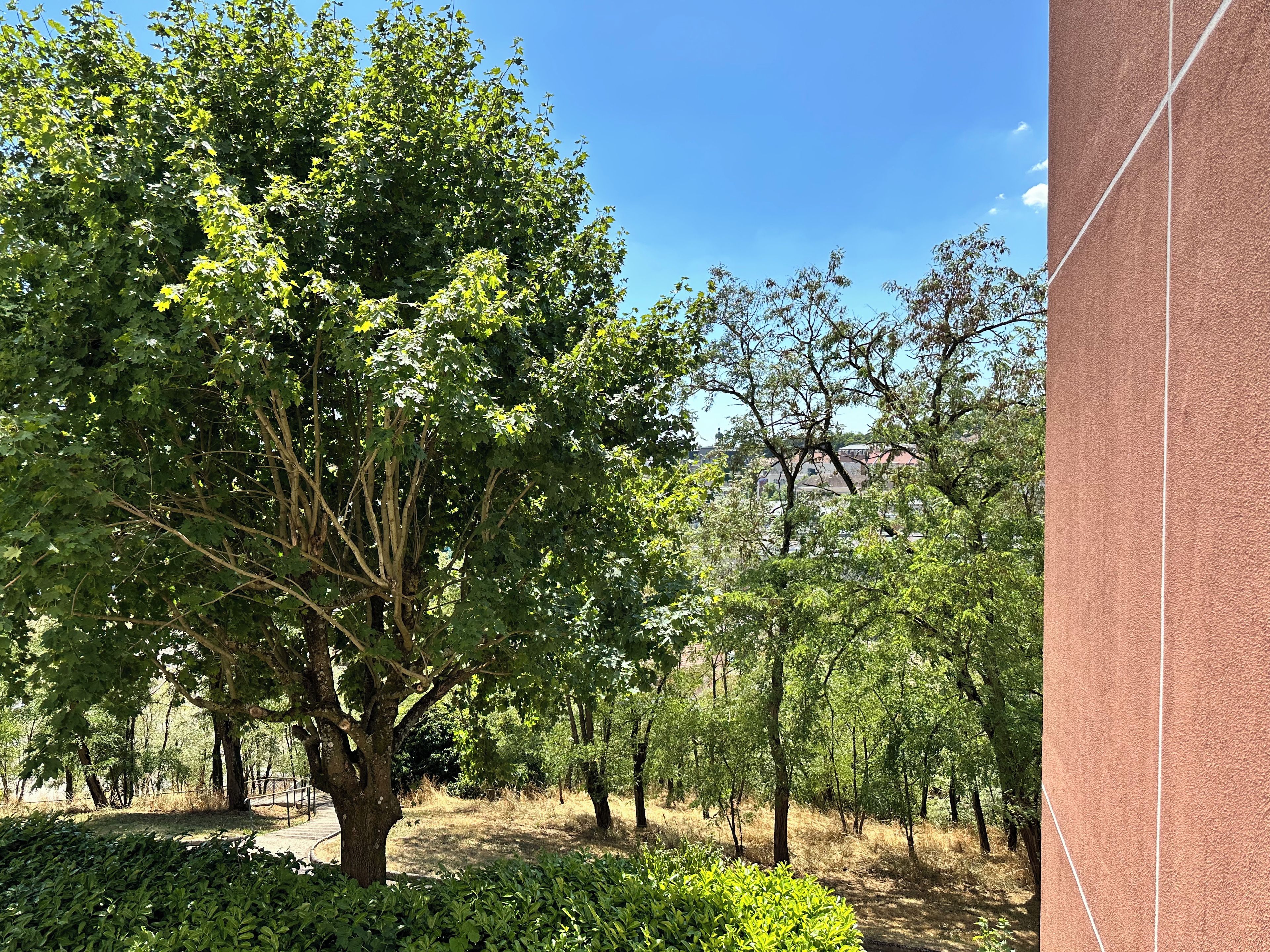 Un parc où l’on trouve une grande variété d’arbres et un sentier aménagé.