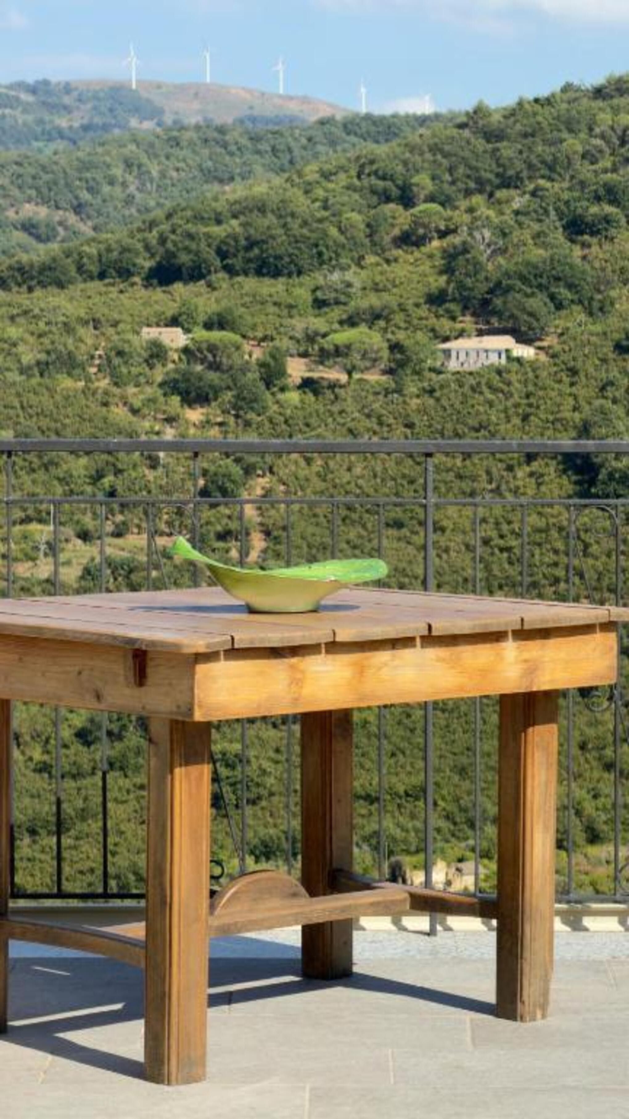 Une table en bois sur laquelle est posée une coupe verte, le tout se détachant sur un fond composé d’une rambarde métallique et d’un paysage vallonné parsemé d’éoliennes.