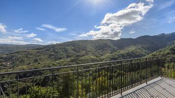 A balcony with a metal railing overlooking a mountainous landscape with dense greenery and a clear sky.