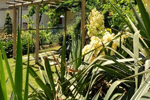 Um jardim com pérgola, diversas plantas e cerca.