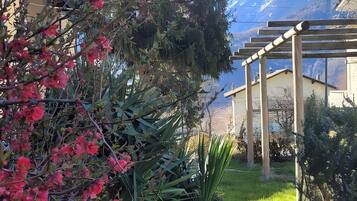 A garden with a wooden pergola, a variety of plants, and a mountain backdrop.