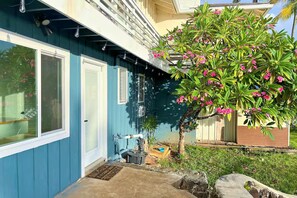 Ein Wohngebäude mit blauer Fassade, einer Haustür und einem kleinen Baum mit rosa Blüten.