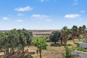 A landscape with olive trees, a palm tree, and a view of the sea.