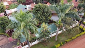 Zona residencial amb diverses cases, algunes amb sostres verds, envoltada de vegetació abundant i palmeres.