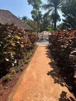 Caminho ladeado por vegetação e um edifício com telhado de palha.