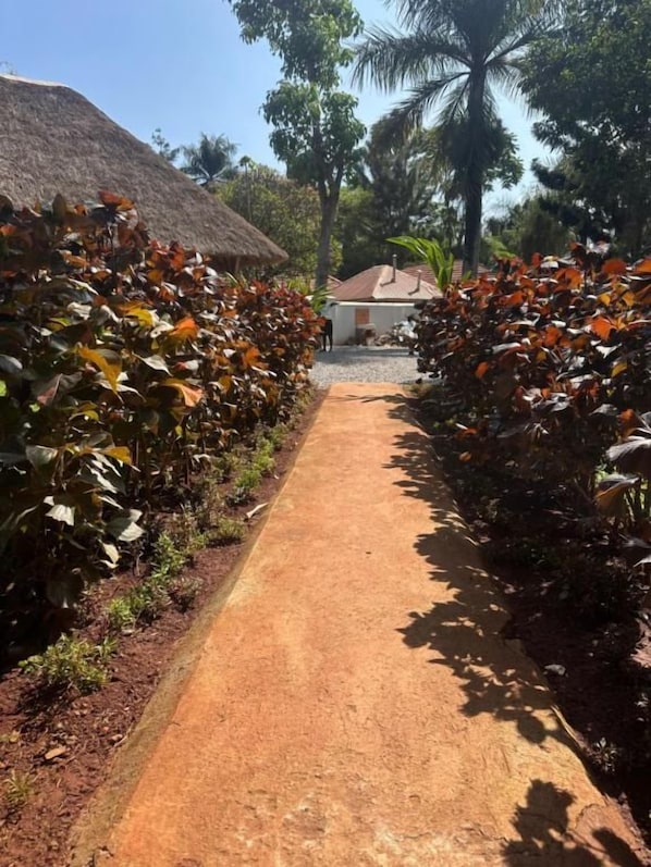 Un sendero bordeado por plantas y un edificio con techo de paja.