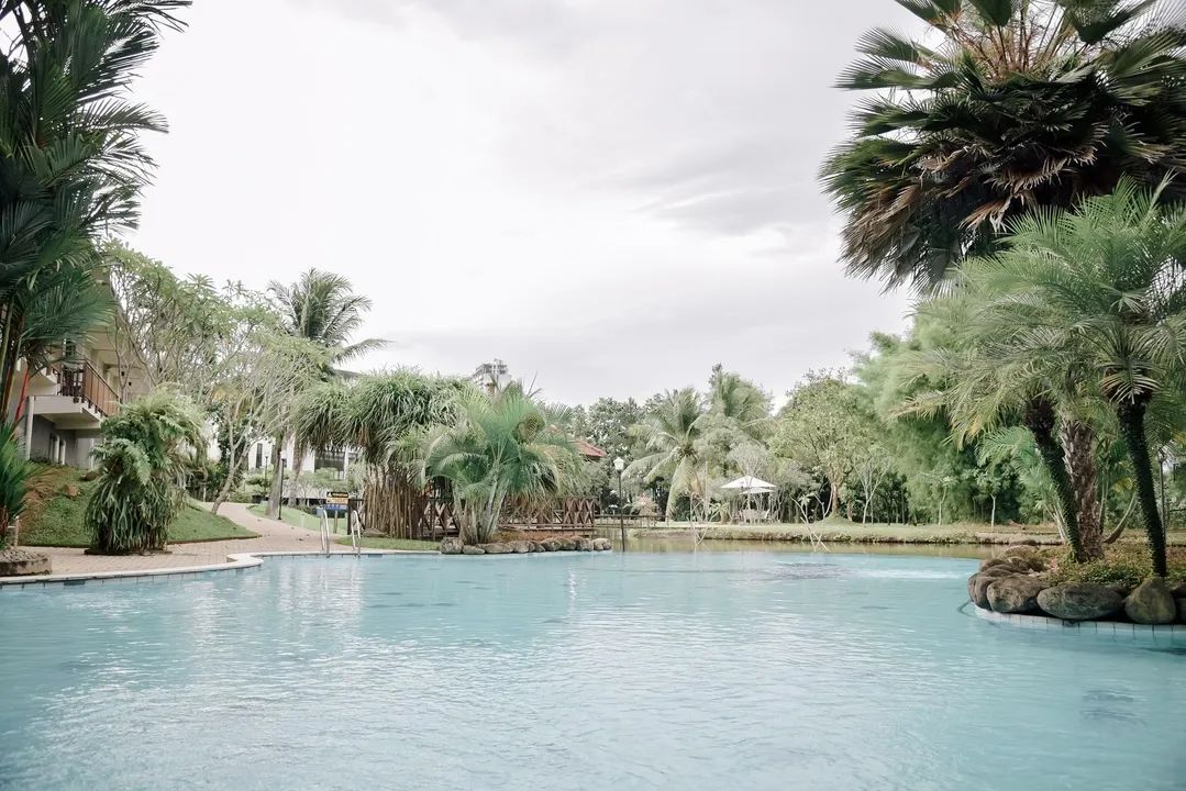 A swimming pool surrounded by palm trees and greenery, with buildings in the background.