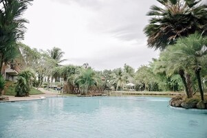 Una piscina rodeada de palmeras y follaje, con edificios al fondo.
