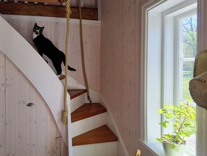 Eine Treppe mit Holzstufen und einer Katze auf der obersten Stufe.