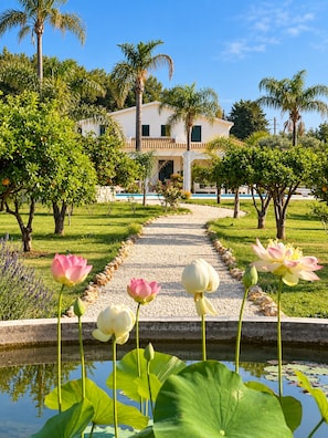 Property grounds - La Gemmazza | Sicilian villa with a private pool (Sicilia)