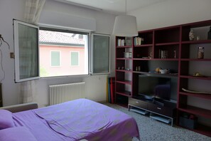 Une chambre à coucher avec un lit, une fenêtre, un radiateur, une bibliothèque et un téléviseur.