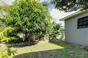 A residential area with a large tree, a small building with a window, and a stone wall.