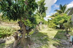 A tree with multiple potted plants attached to its trunk, a stone wall, and a grassy area with various plants.
