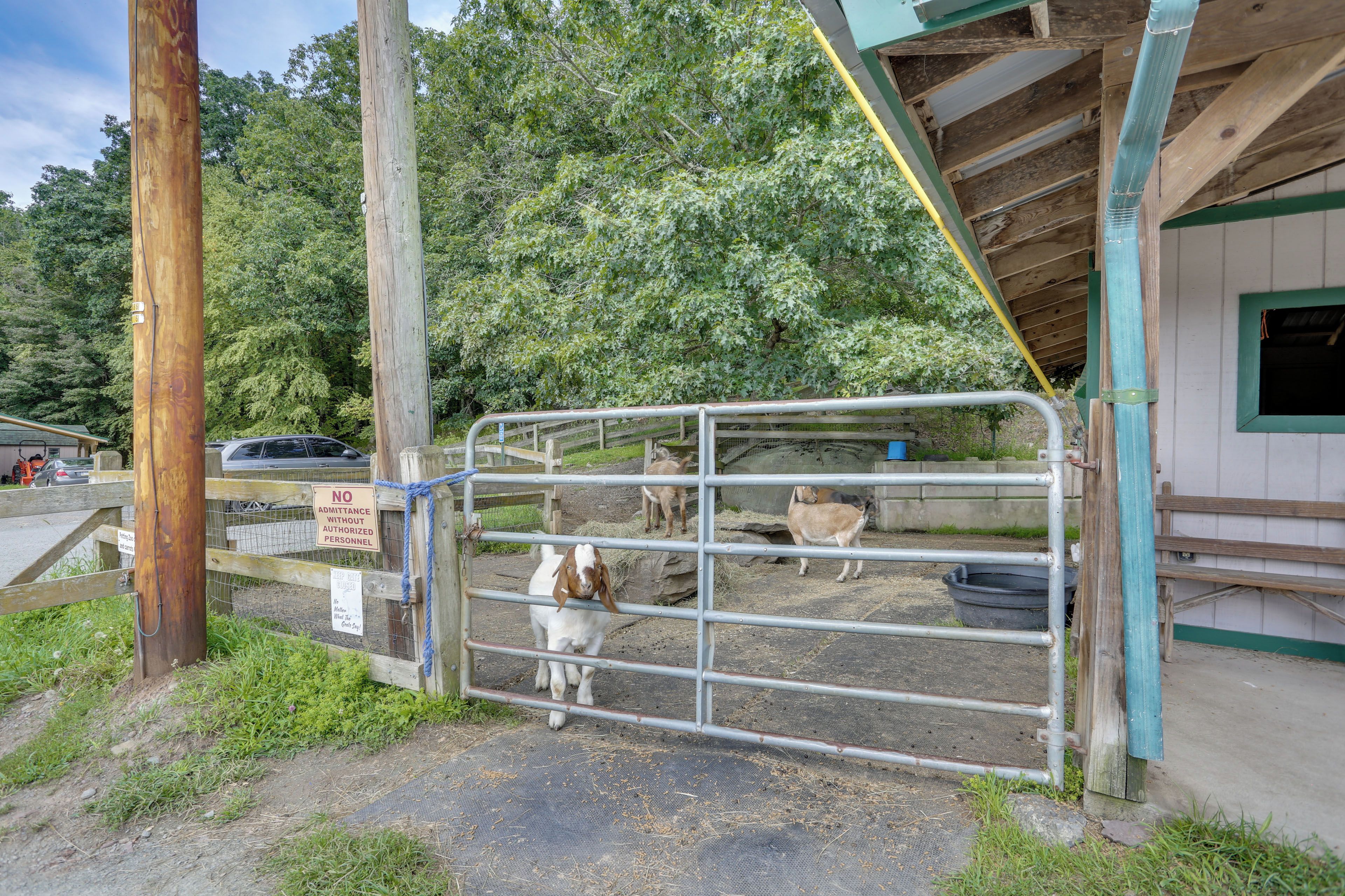 A gated area with a metal gate, a wooden fence, and a building with a green roof.