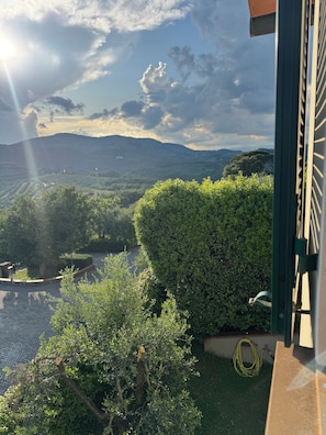 Blick aus einem Fenster auf einen angelegten Garten mit Hecke, Baum und einem Blick auf ein Gewässer.