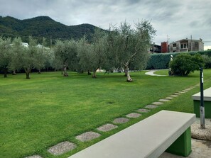 Un área verde bien cuidada con árboles y un sendero pavimentado.