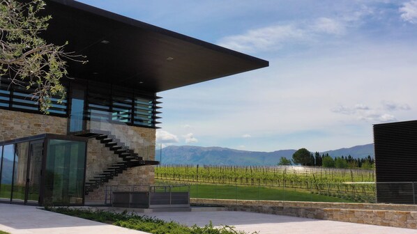 A modern building with a stone facade, a glass staircase, and a vineyard view.