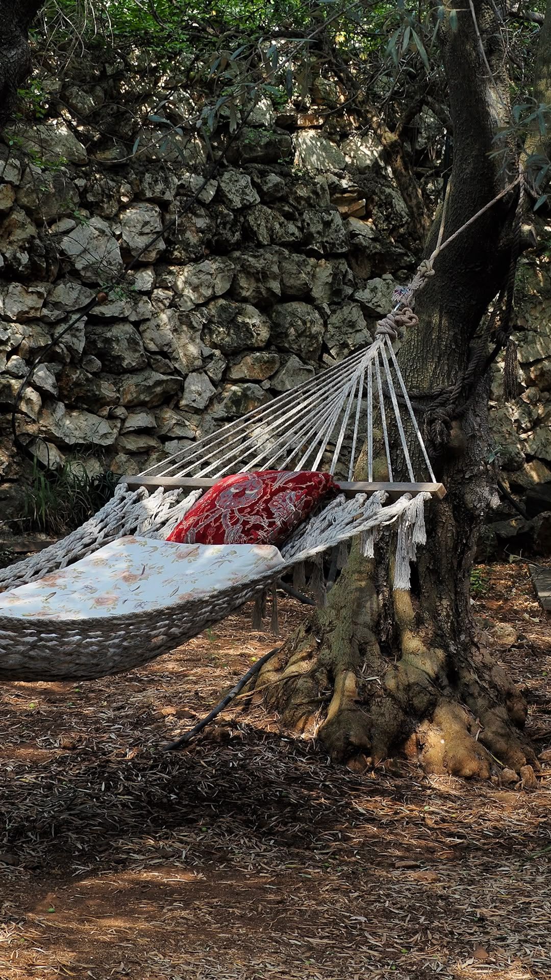 Un'amaca legata tra gli alberi in un ambiente naturale, con un muro di pietra sullo sfondo.