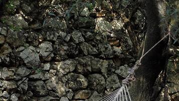 A hammock tied between trees in a natural setting with a stone wall in the background.