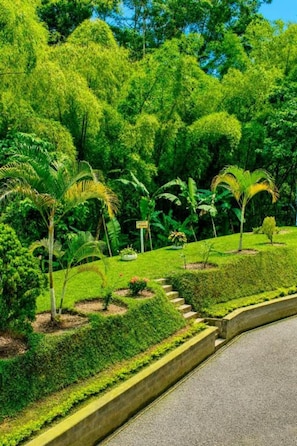 Property grounds - Denaka Hotel (Dosquebradas)