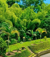 A lush garden with various tropical plants and a paved pathway.