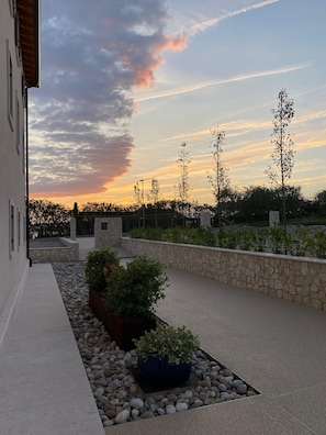 Un espacio exterior ajardinado con un muro de piedra, un sendero pavimentado y una planta en maceta.