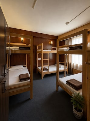 A room with bunk beds, wooden walls, and a potted plant. - Travel Pickle (Darjeeling)