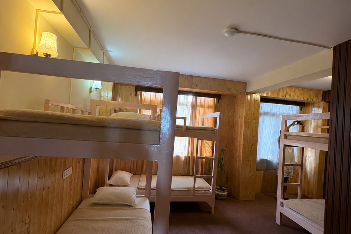 A bunk bed room with a window, a lamp, and a plant.