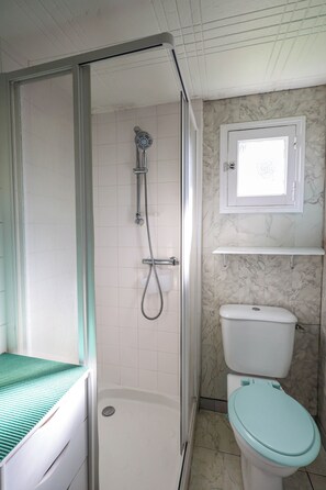 A bathroom with a shower, toilet, and a sink with a green mat. - Vrbo Property (Beaussais-sur-Mer)