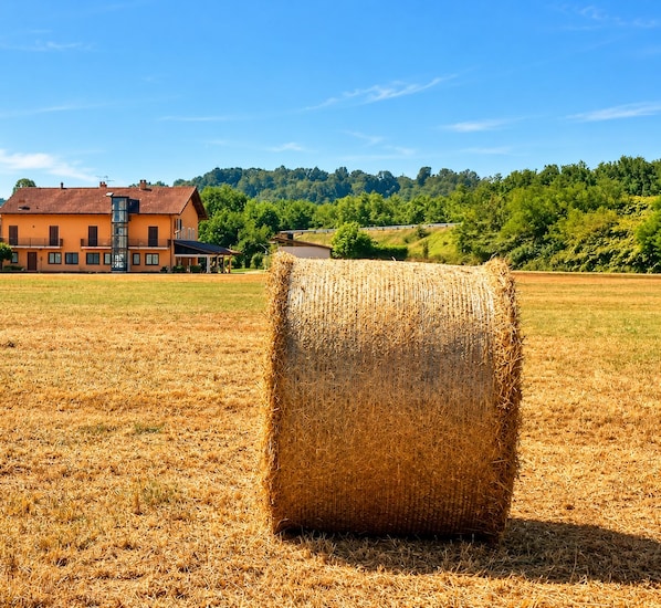 A hay bale in a field with a building in the background.