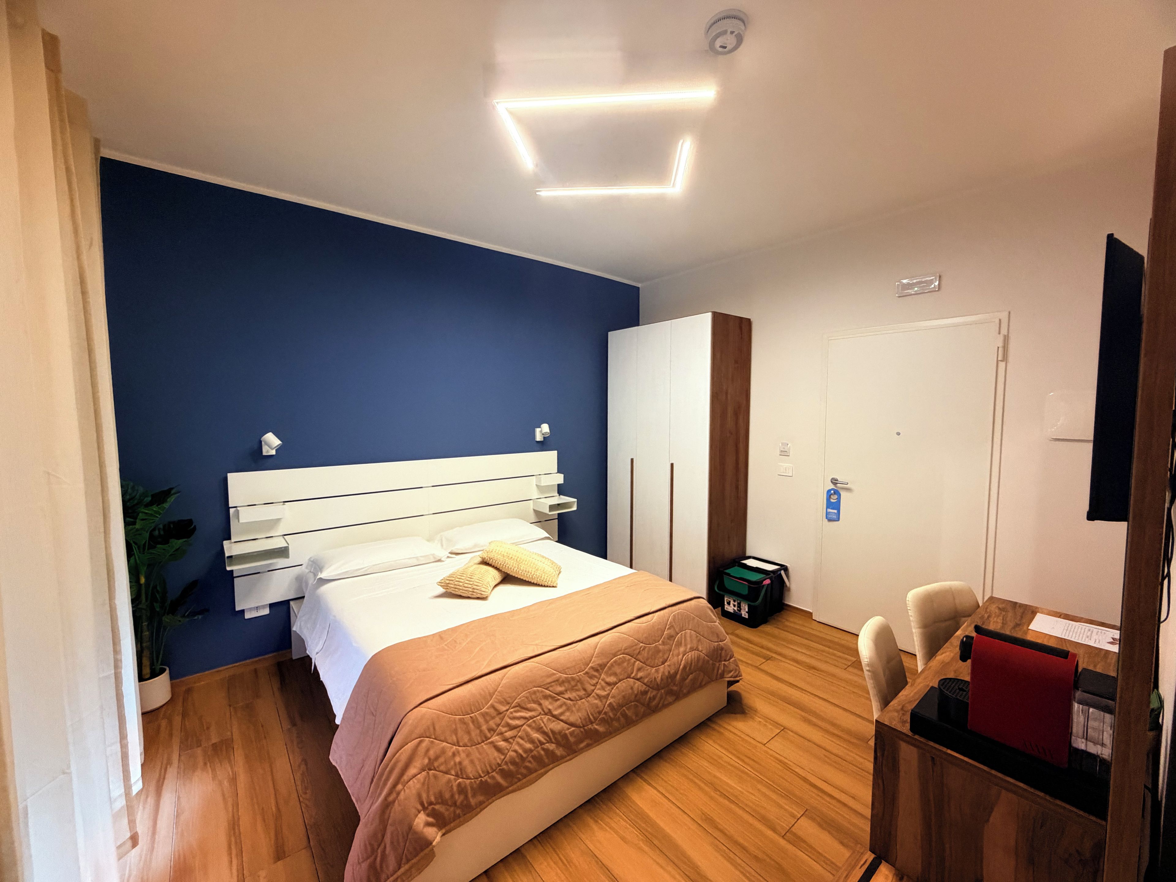 A hotel room with a bed, a desk, a chair, a wardrobe, and a plant.