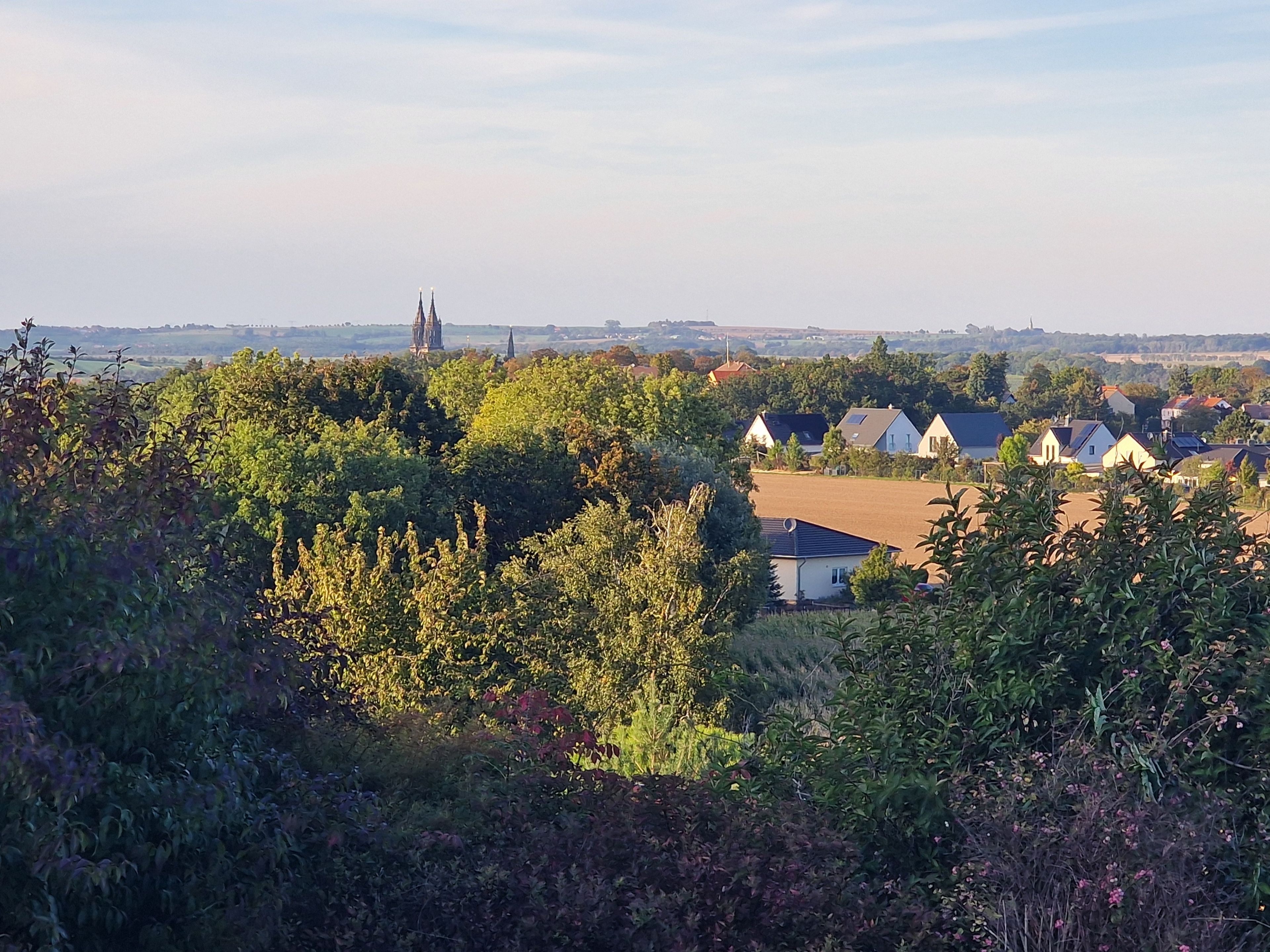 Un paysage rural avec un clocher d’église, des maisons et un feuillage dense.